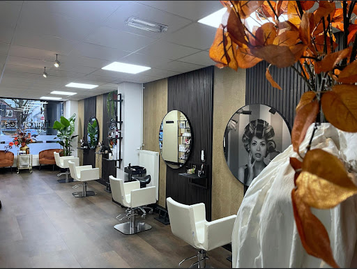 Hairbylies - Thumbnail