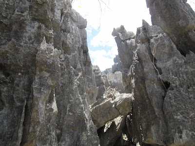 Photos of Underground River