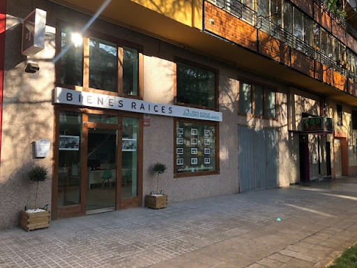 BIENES RAICES