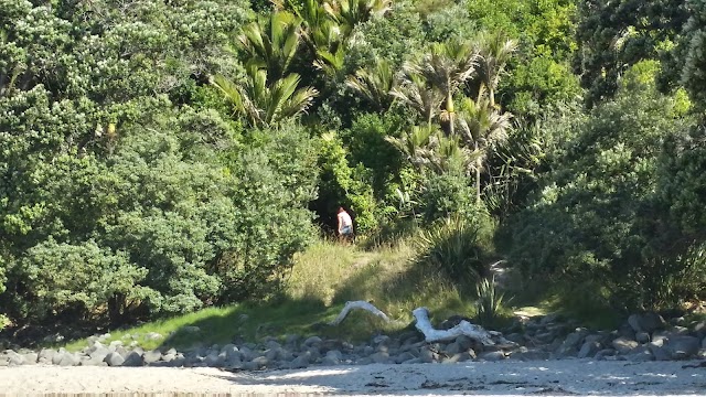 New Chums Beach
