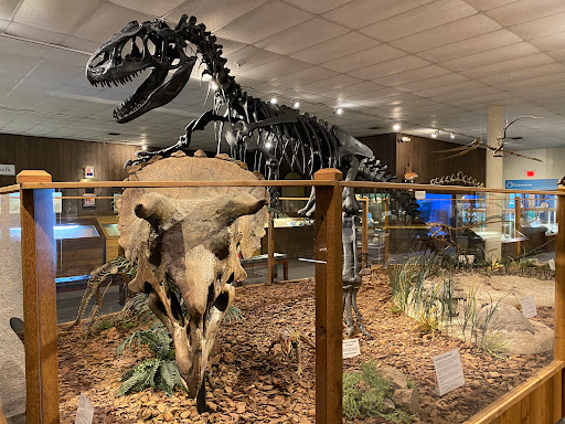 Brazosport Museum of Natural Science - Thumbnail