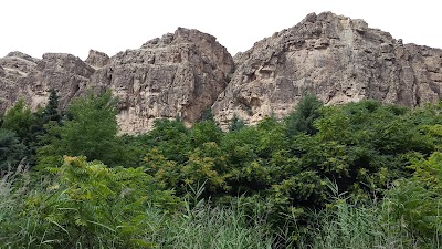 Photos of Forest Park Tandooreh