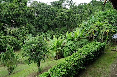 Photos of Yarina Eco Lodge