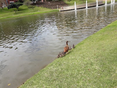 Photos of Chris Saunders Park