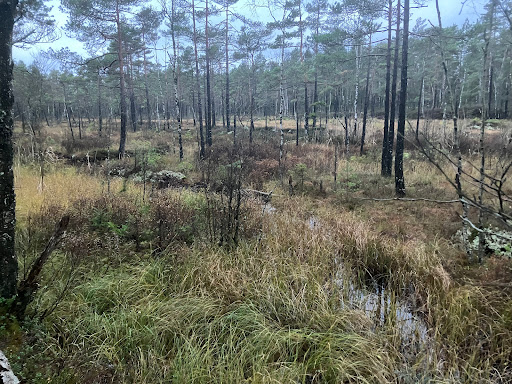 Minnesmärke Dannikekvinnan - Thumbnail