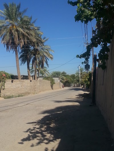 Photos of الشجيريه