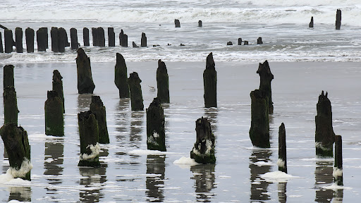 North Brigantine Natural Area - Thumbnail