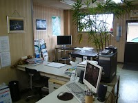 グローバルカーズ