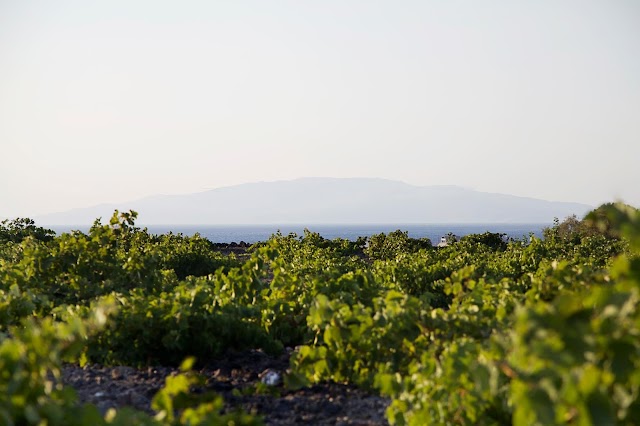 Domaine Sigalas