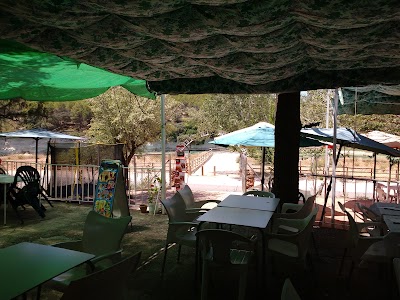 Photos of Restaurante la Lengua