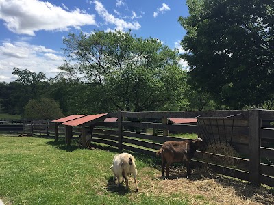 Maymont Farm