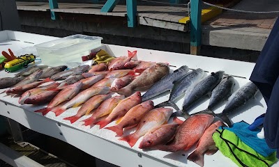 Photos of Salty Sam's Marina