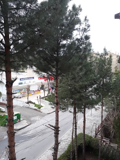 Photos of Şahmer-Toplukonut Branch