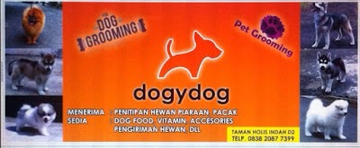 Photos of Dogydog Pet Shop