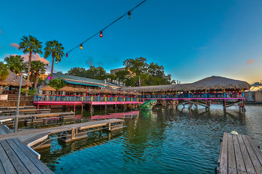Hula Hut - Visual
