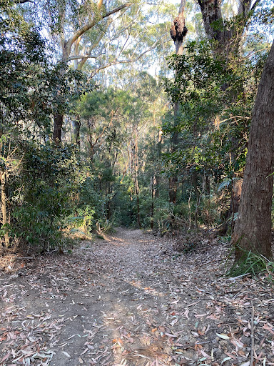 End Peak walking track