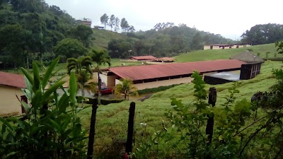 Photos of COLMADO BATISTA