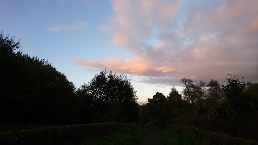 Friends of Plean Country Park - Thumbnail