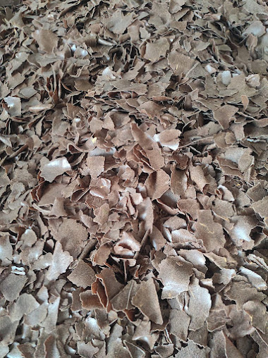 Af1qipn2cdebk9bsccyn5qh0kspcxnfebgs Bhouymwb=s508 K No