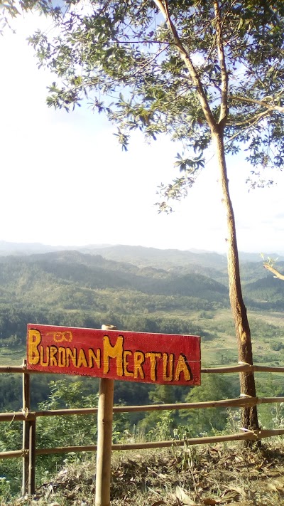 Photos of Bukit Pesona Kayangan