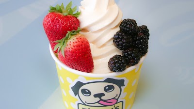 Photos of Ziggy's Frozen Yogurt