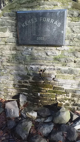 Gyöngyös, 24134, 3221