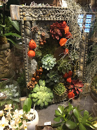 Photo n°10 de Chatel Fleuriste. à Le Vésinet (Fleuriste)