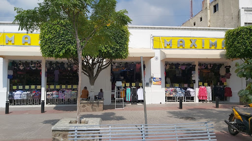 MAXIMA (18) - Visual
