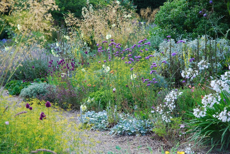 Beth Chatto's Plants & Gardens photo 2