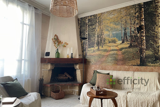 Laure Lelong - efficity Gallery - France