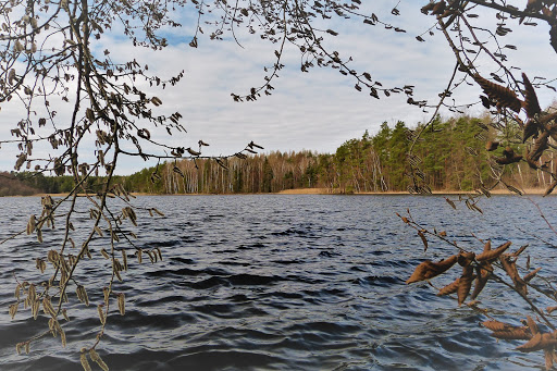 Oberer Altenteich - Thumbnail