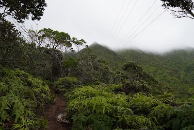 Wiliwilinui Hiking Trail