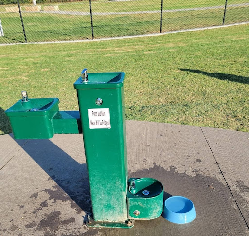Albemarle Parks & Recreation Dog Park - Thumbnail