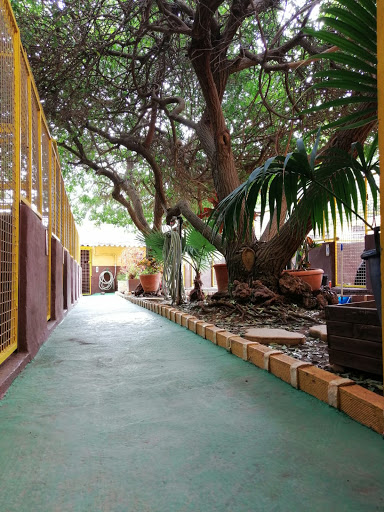 Hotel para perros Guardería Canina Santa María de Guía