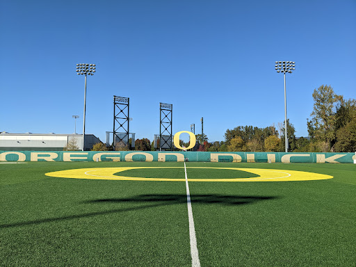 Papé Field - Visual