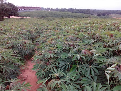 Photos of Hillsdale Multi Farming