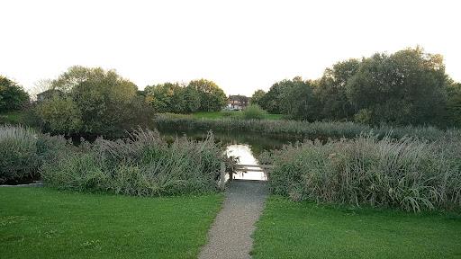 Bluebell Drive Park