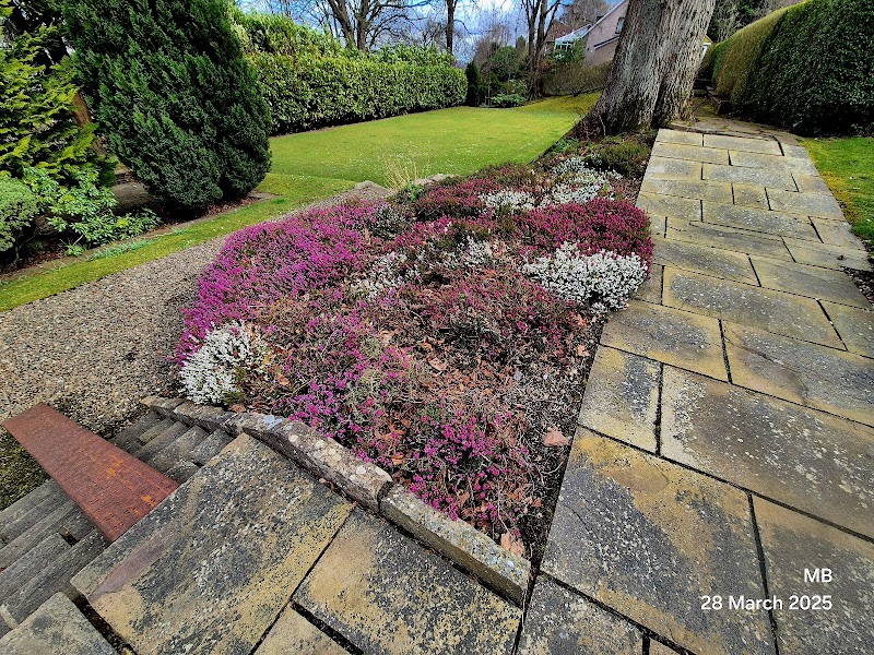 MB Horticultural Services photo 3
