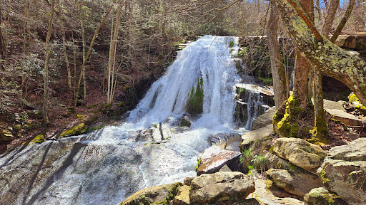 Roaring Run Furnace