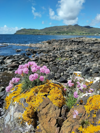 CalMac Ferries Kilchoan - Thumbnail