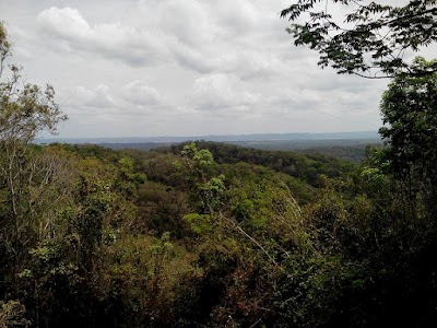 Photos of Ixpanpajul Natural Park