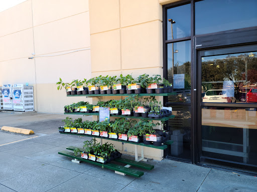 Ace Hardware Cinco Ranch - Visual