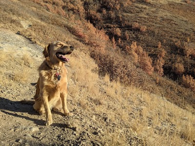 Squaw Peak Overlook