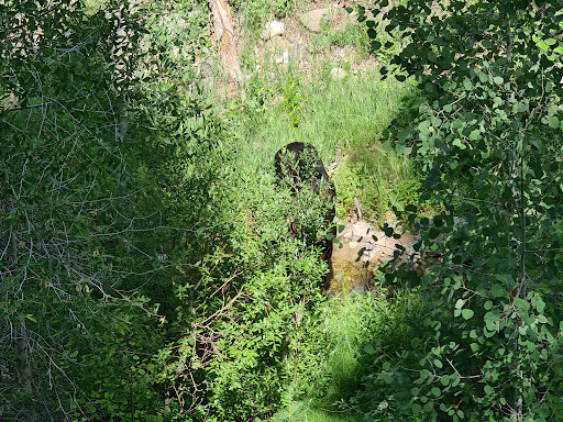 Double Falls - Visual