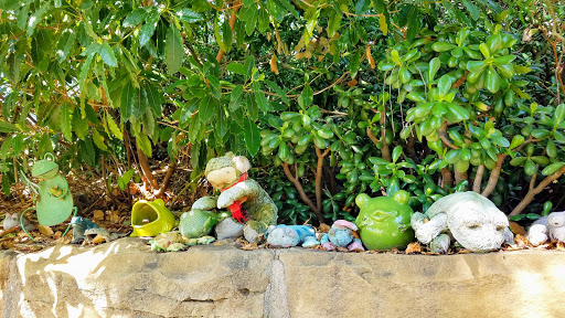 Frog Wall - Visual