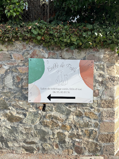 Bulle de Poils Toilettage Boën sur Lignon - Thumbnail