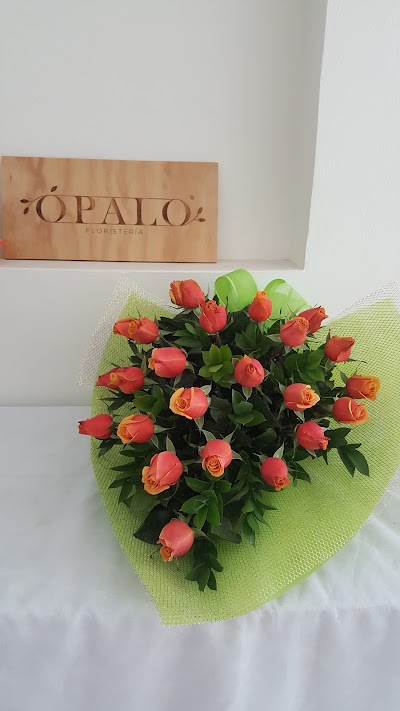 Photos of Opalo Florister&iacute;a