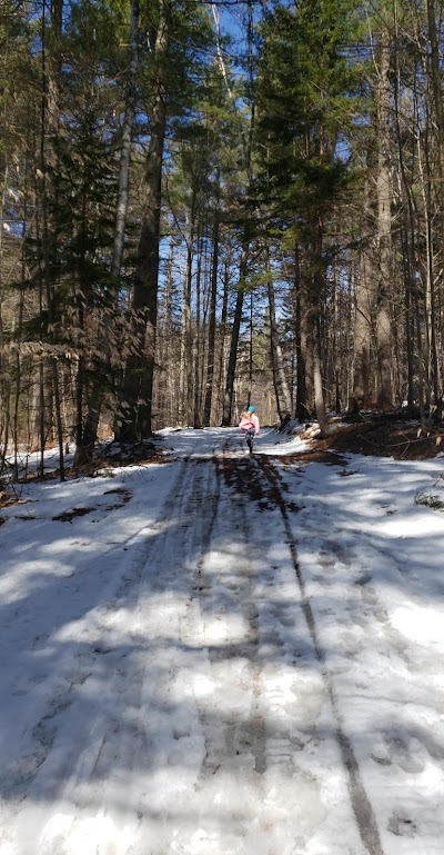 Great Hill Fire Tower