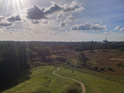 Photos of Vilnelės