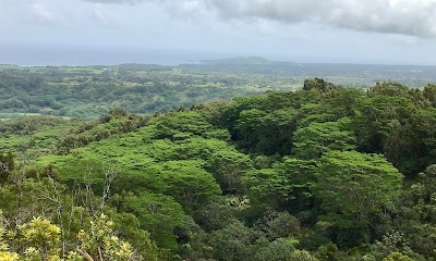 Okolehao Hiking Trailhead